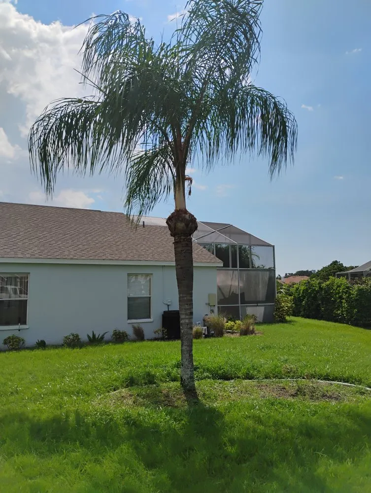 Reliable landscape design in New Port Richey, FL by Trim Time Tree Service