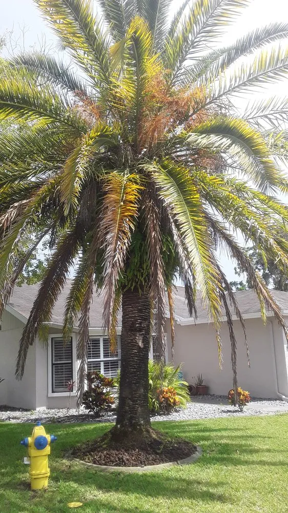 Local garden landscaping for homes across New Port Richey, FL - Trim Time Tree Service