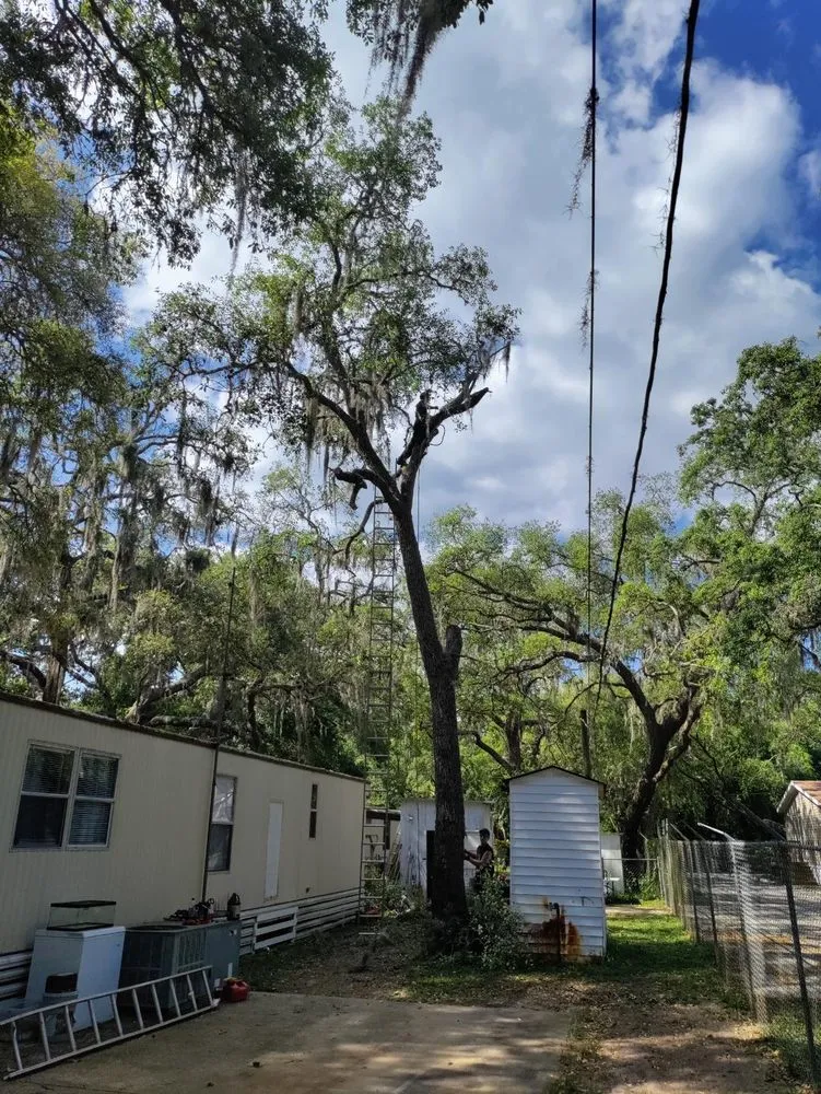 Expert residential landscaping in New Port Richey, FL by Trim Time Tree Service