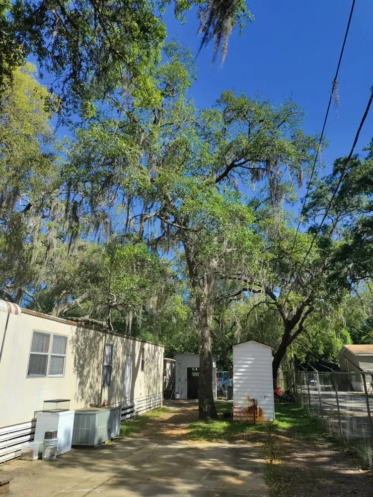 Expert lawn care service in New Port Richey, FL - Trim Time Tree Service