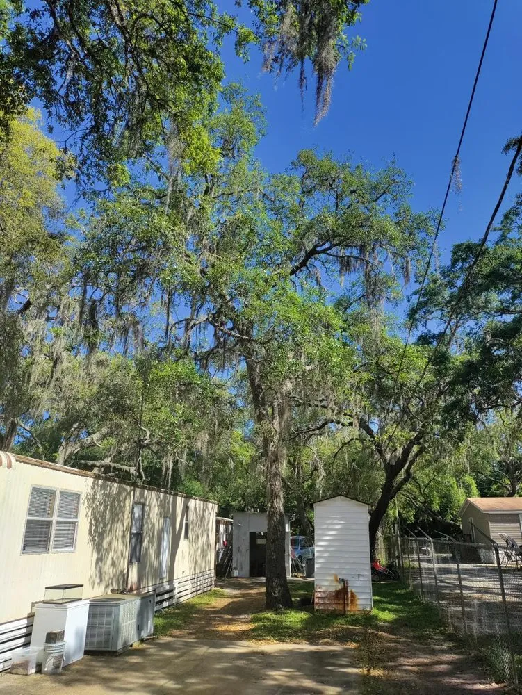 Affordable landscape installation in New Port Richey, FL by Trim Time Tree Service