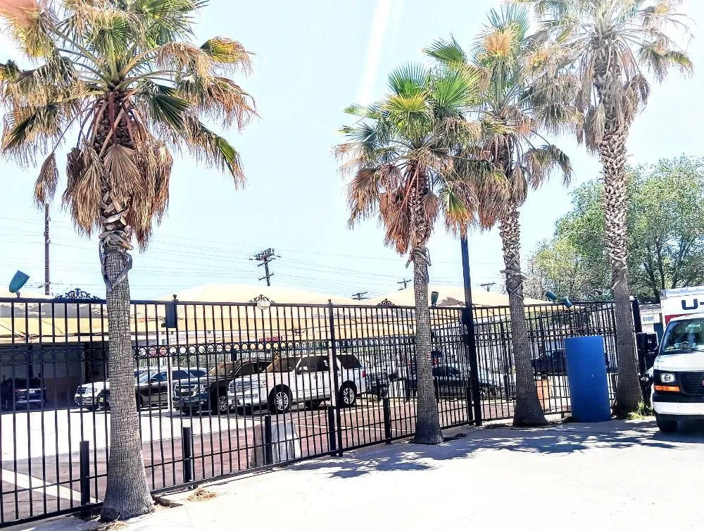 Trusted garden landscaping in El Paso, TX - Trima Palm