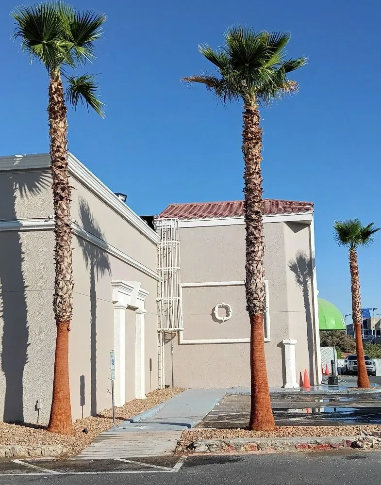 Custom landscape installation for homes in El Paso, TX by Trima Palm