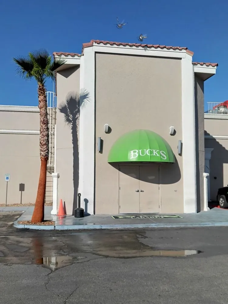 Professional yard cleanup service in El Paso, TX by Trima Palm