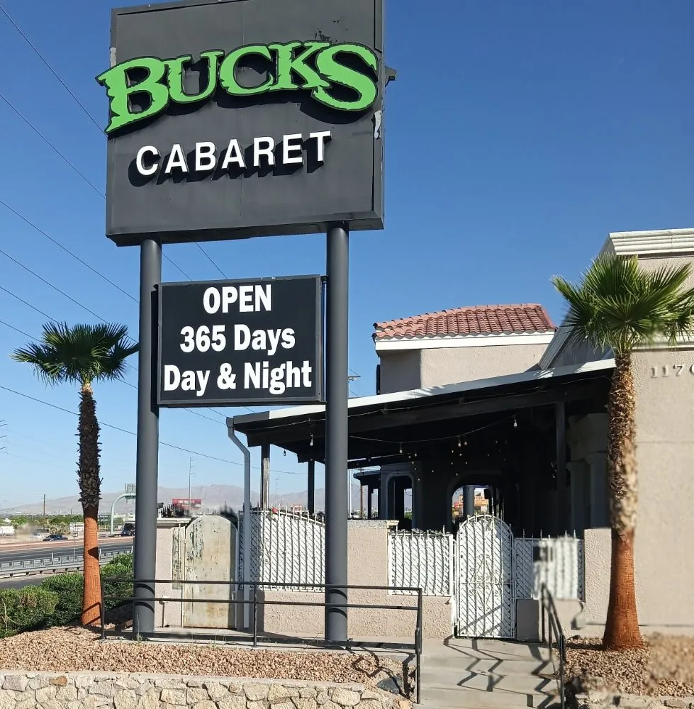 Affordable outdoor landscaping in El Paso, TX by Trima Palm