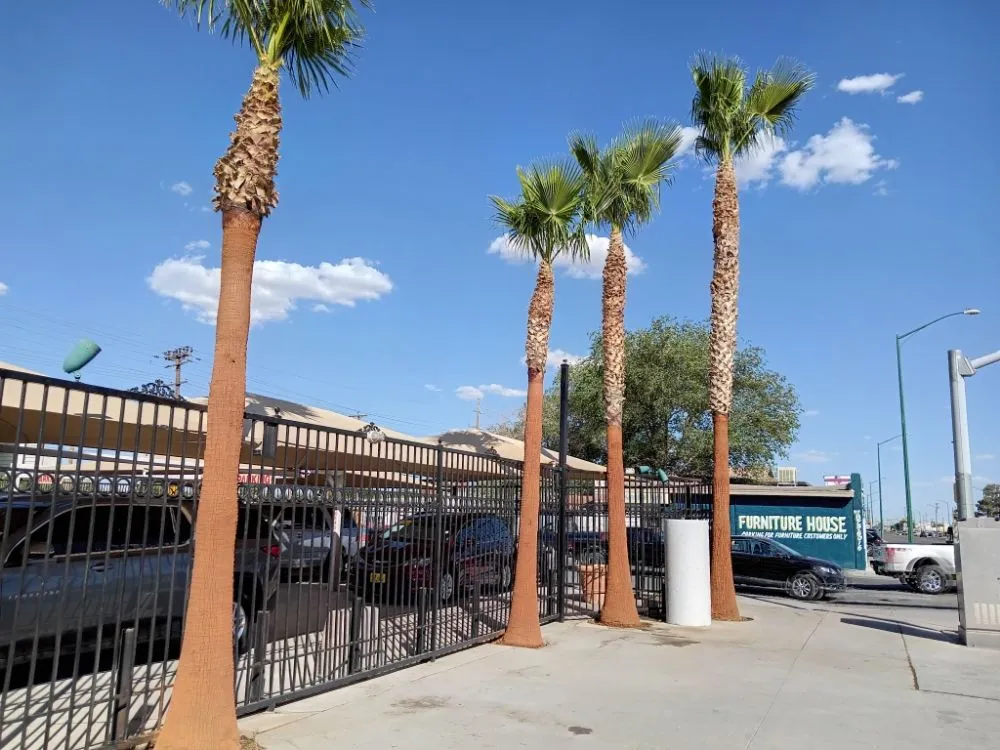 Local landscape design for homes in El Paso, TX by Trima Palm