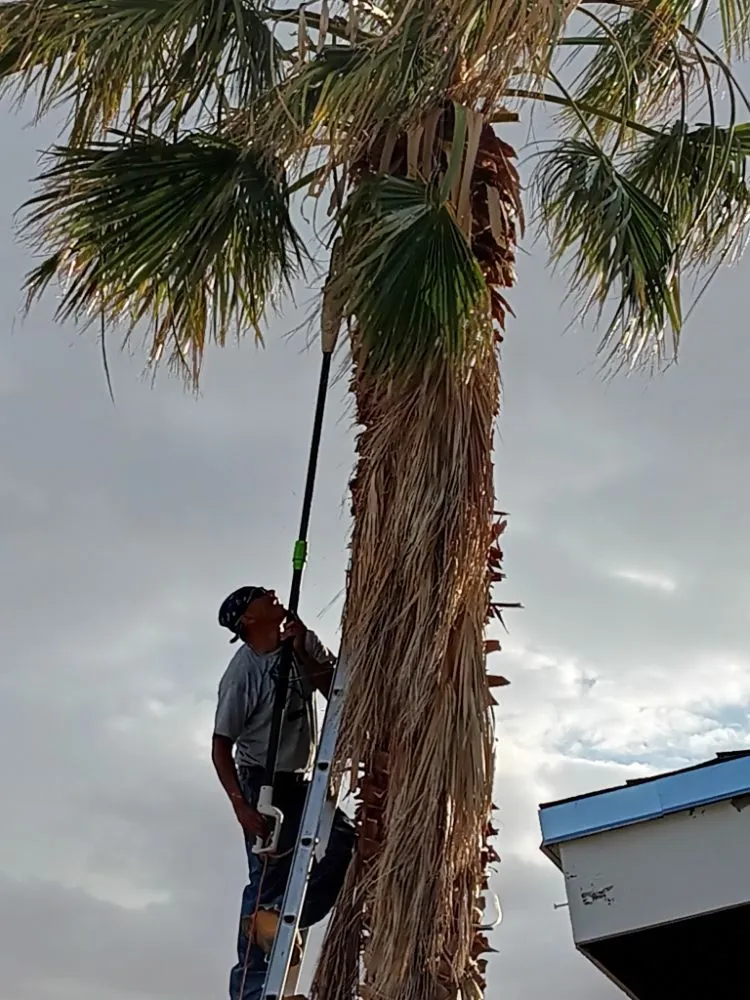 Custom landscape installation for homes across El Paso, TX - Trima Palm