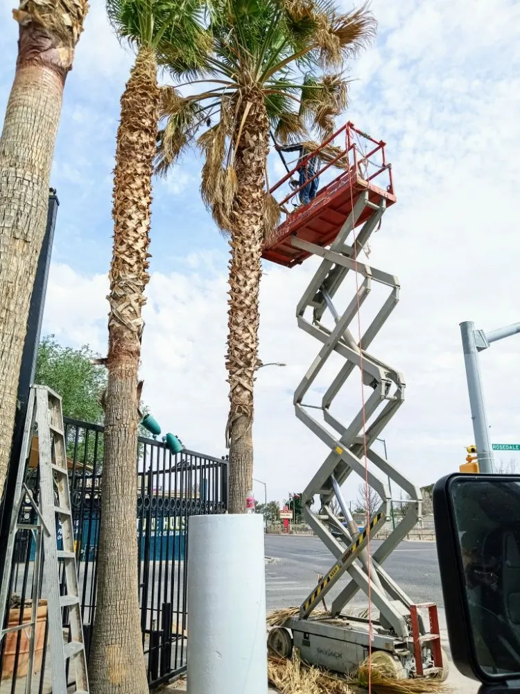 Custom garden landscaping in El Paso, TX by Trima Palm