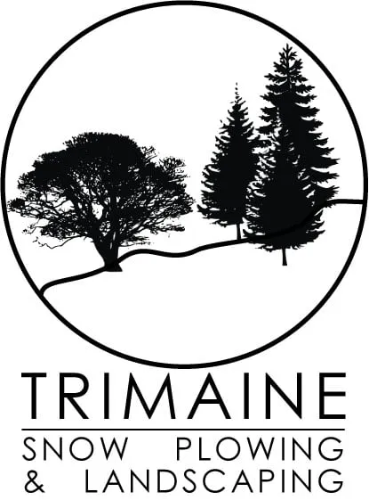 Professional landscape design in Forest Park, IL by Trimaine Snow Plowing and Landscaping
