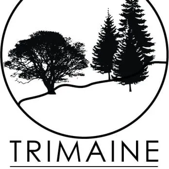 Professional lawn mowing service in Forest Park, IL by Trimaine Snow Plowing and Landscaping