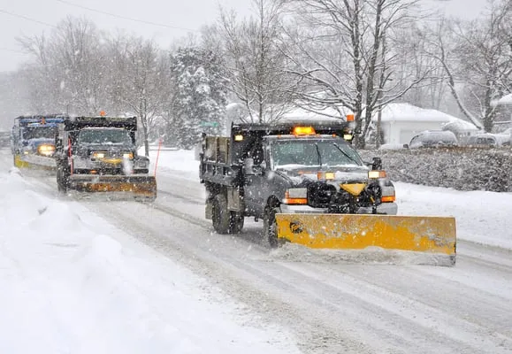 Trimaine Snow Plowing and Landscaping