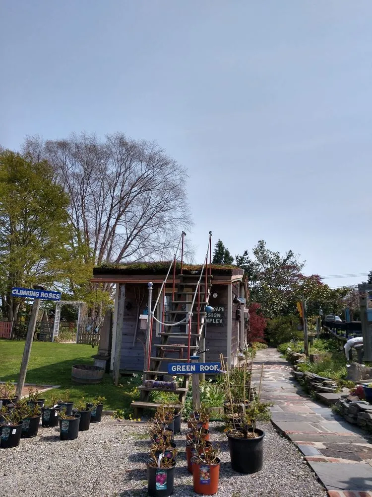 Top-rated yard cleanup service experts serving Cutchogue, NY - Trimble's of Corchaug Nursery