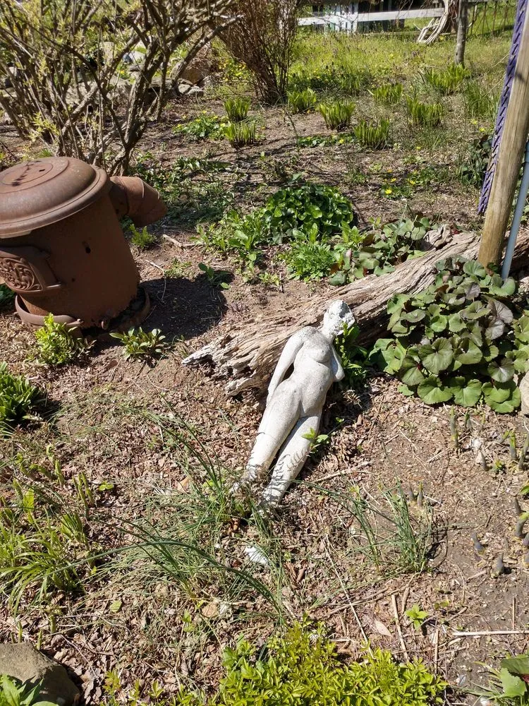 Local landscaping services experts serving Cutchogue, NY - Trimble's of Corchaug Nursery