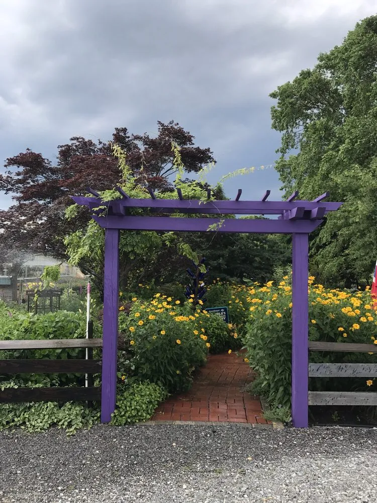 Expert yard maintenance near you across Cutchogue, NY - Trimble's of Corchaug Nursery