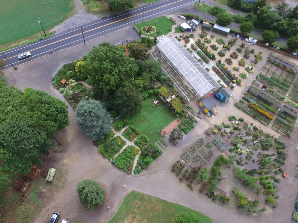 Local yard cleanup service with custom design in Cutchogue, NY by Trimble's of Corchaug Nursery