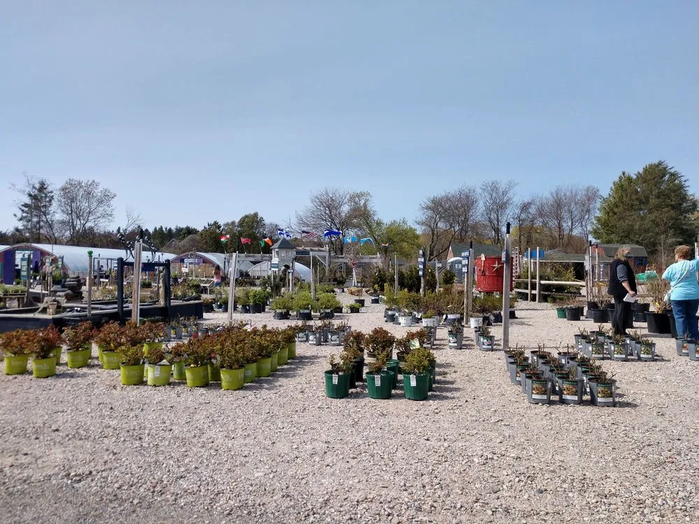 Expert yard maintenance in Cutchogue, NY - Trimble's of Corchaug Nursery