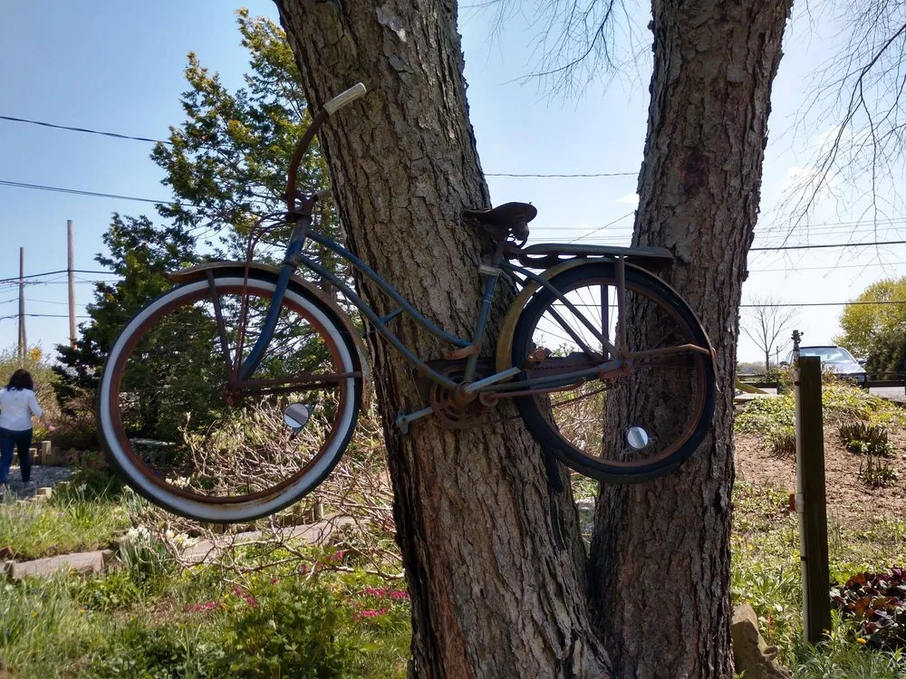 Professional residential landscaping for residential properties across Cutchogue, NY - Trimble's of Corchaug Nursery