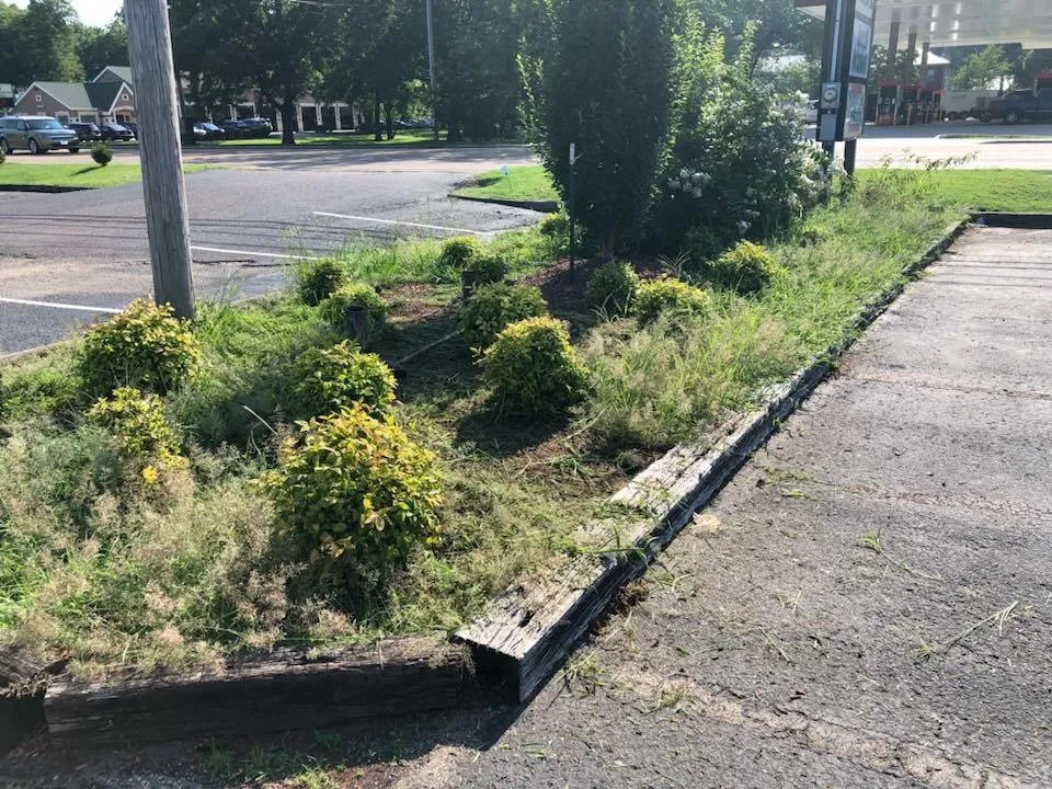 Reliable yard cleanup service near you in Jackson, TN by Trimedge