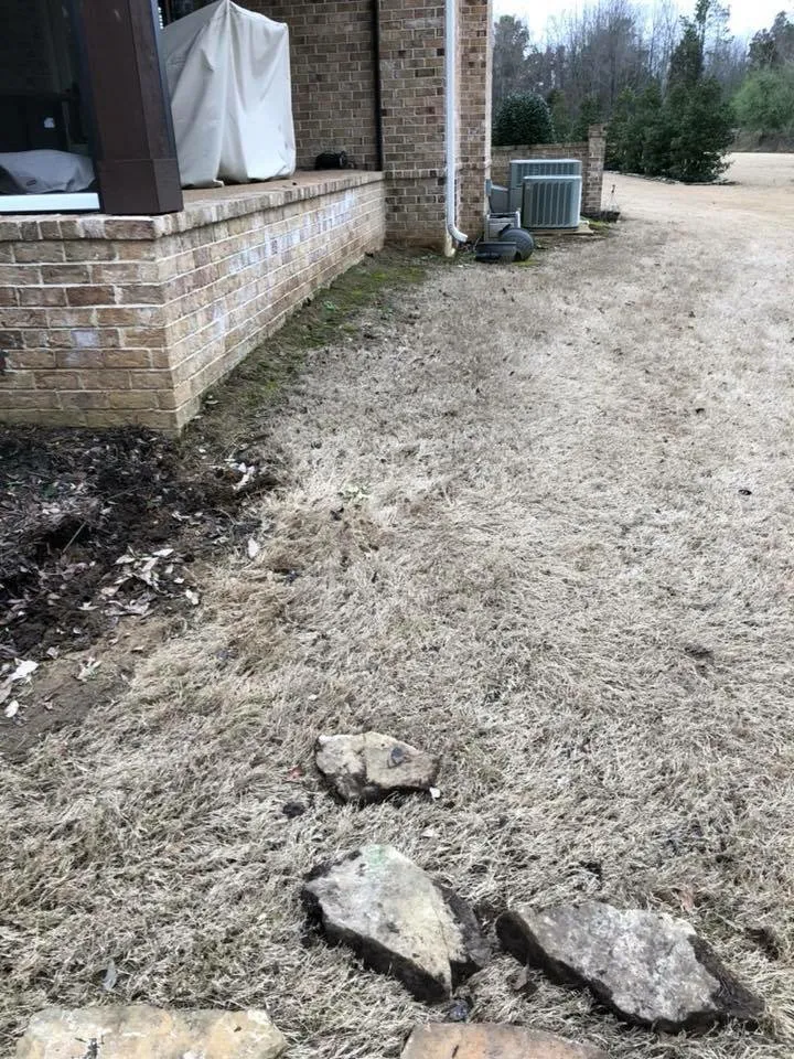 Expert landscape design experts serving Jackson, TN - Trimedge