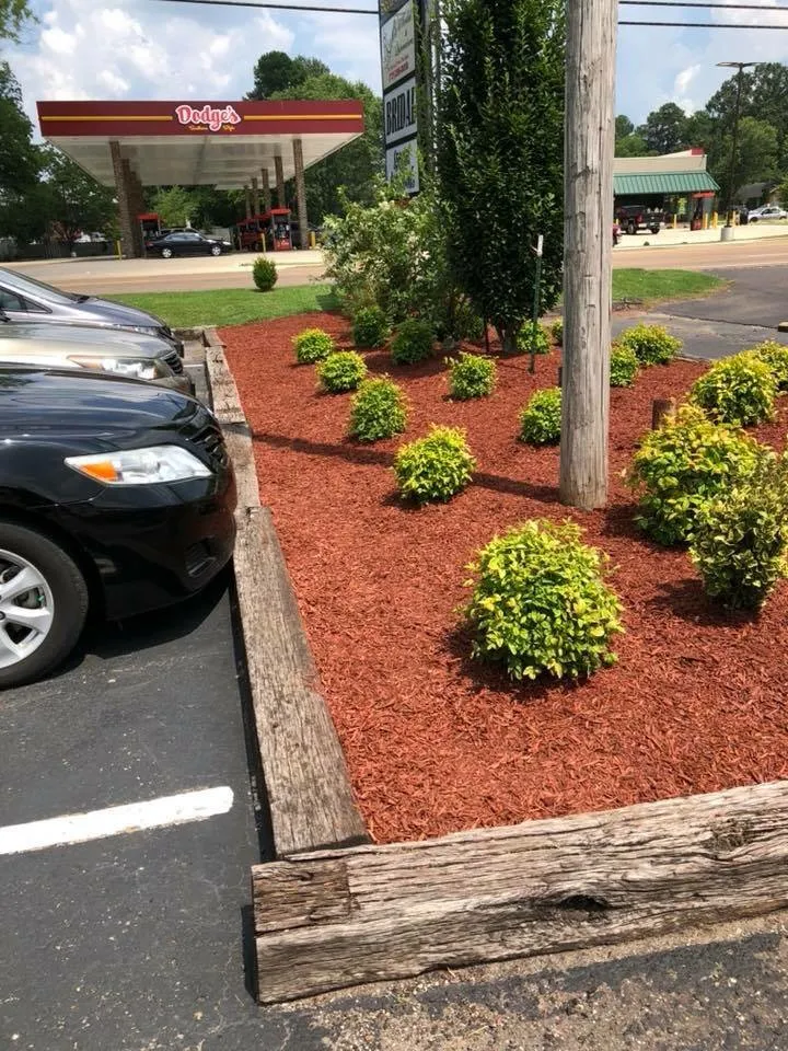 Custom landscape design experts serving Jackson, TN - Trimedge