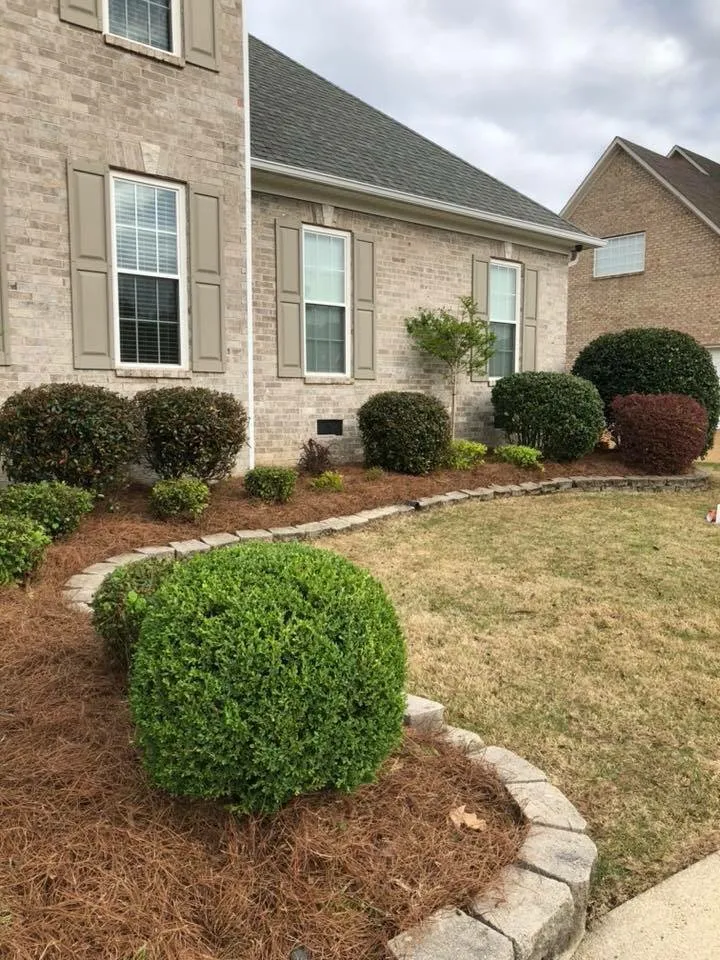 Affordable landscape installation experts serving Jackson, TN - Trimedge