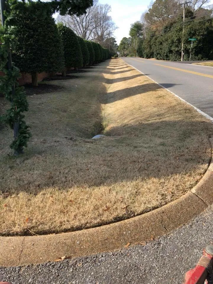 Affordable outdoor landscaping for beautiful yards across Jackson, TN - Trimedge