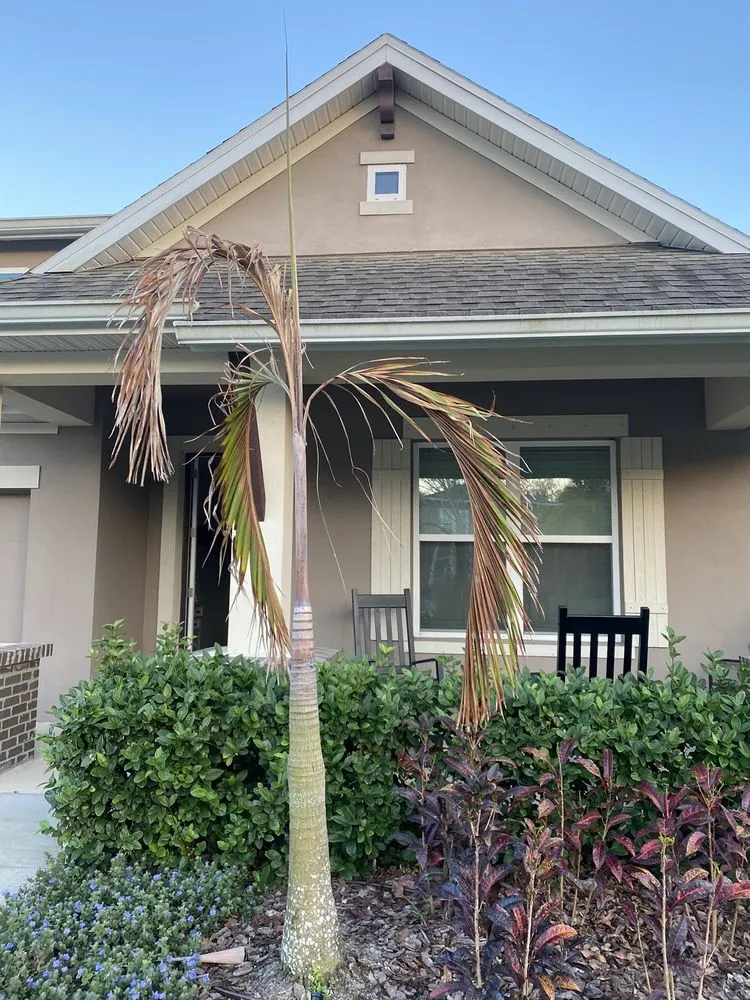 Reliable outdoor landscaping for homes in Seffner, FL by Trimen Landscape