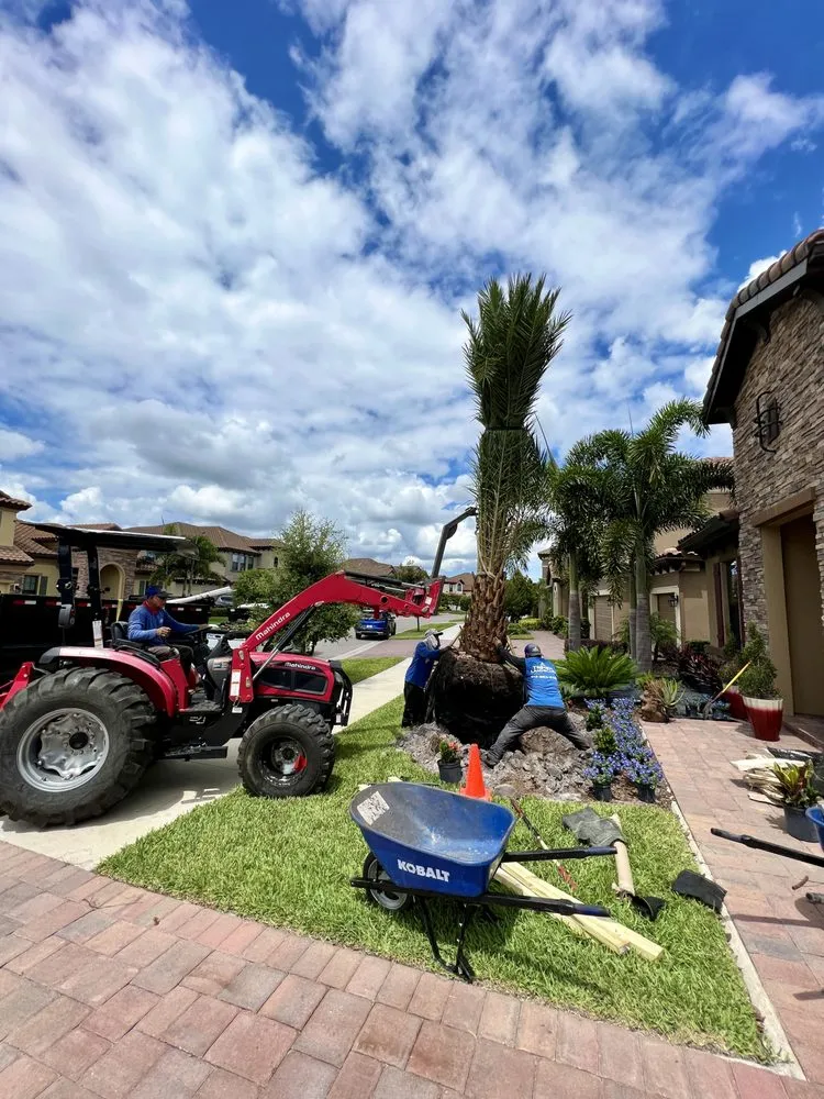 Custom yard cleanup service in Seffner, FL - Trimen Landscape