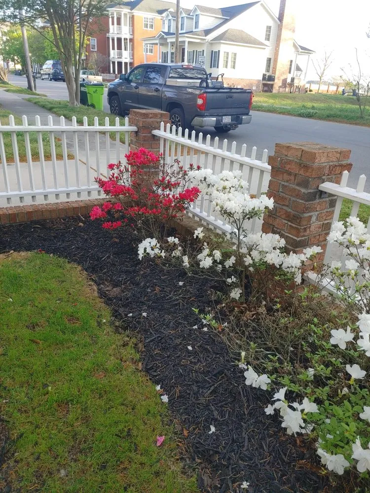 Affordable garden landscaping in New Bern, NC by TrimLawn Organics