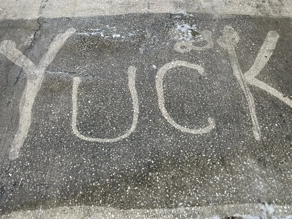 Affordable lawn mowing service in Holly Hill, FL by TrimLine Design and Landscape