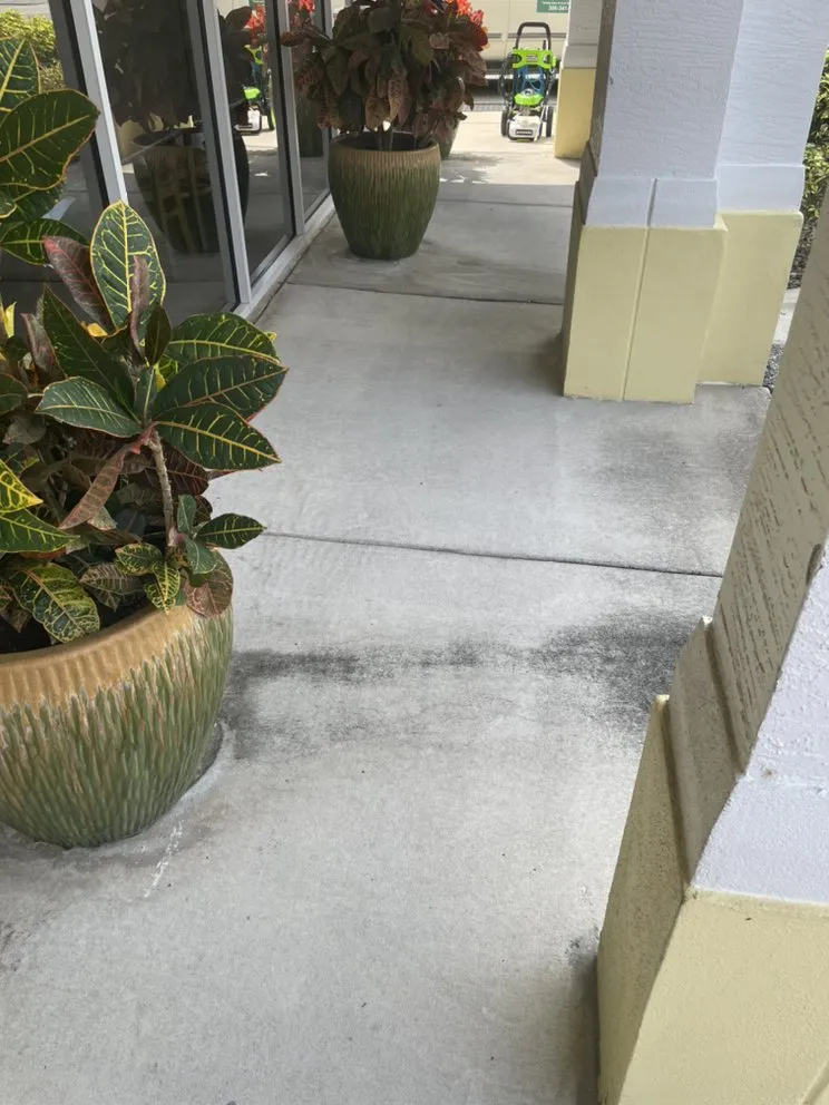 Top-rated lawn mowing service in Holly Hill, FL - TrimLine Design and Landscape