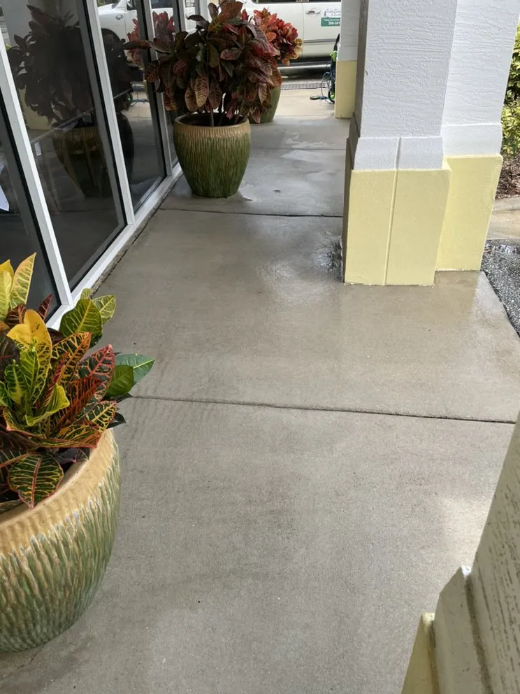 Professional residential landscaping for beautiful yards across Holly Hill, FL - TrimLine Design and Landscape