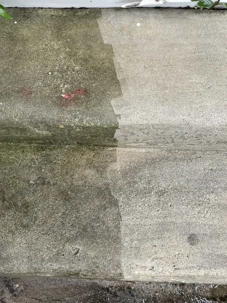 Affordable lawn mowing service in Holly Hill, FL by TrimLine Design and Landscape