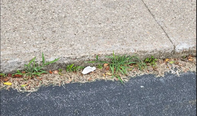 Trusted garden landscaping for beautiful yards across Rochester, NY - Trimline Landscape Management