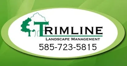 Affordable residential landscaping experts serving Rochester, NY - Trimline Landscape Management