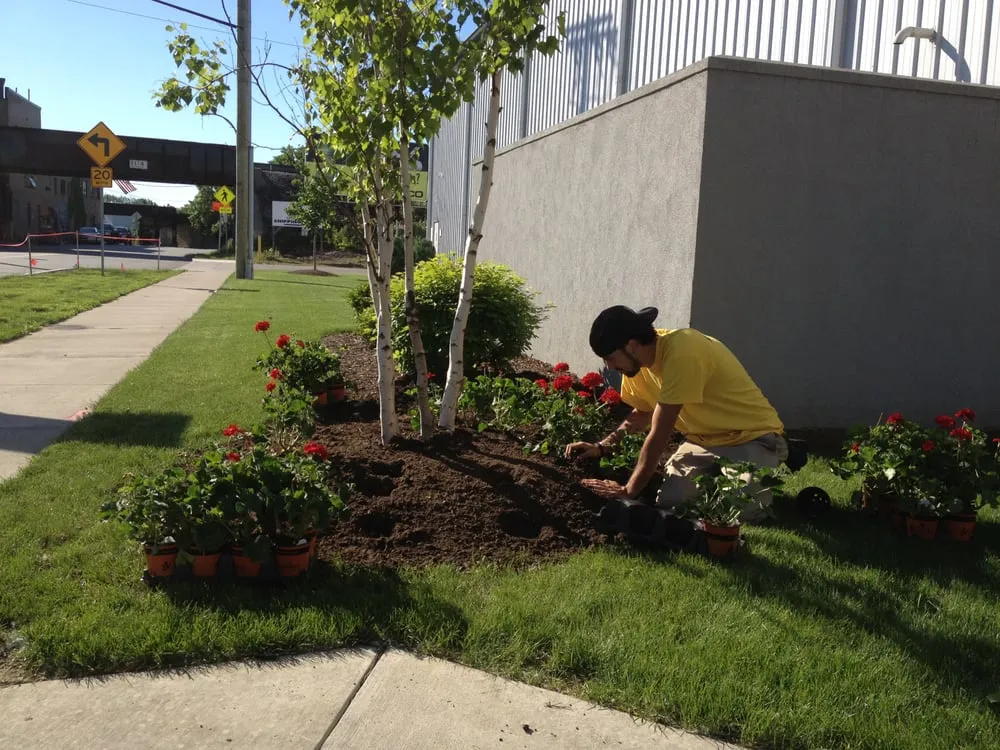 Trusted yard maintenance near you in Rochester, NY by Trimline Landscape Management