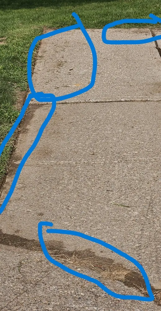 Expert garden landscaping in Rochester, NY by Trimline Landscape Management