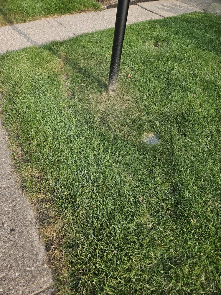 Reliable lawn care service for beautiful yards in Rochester, NY by Trimline Landscape Management