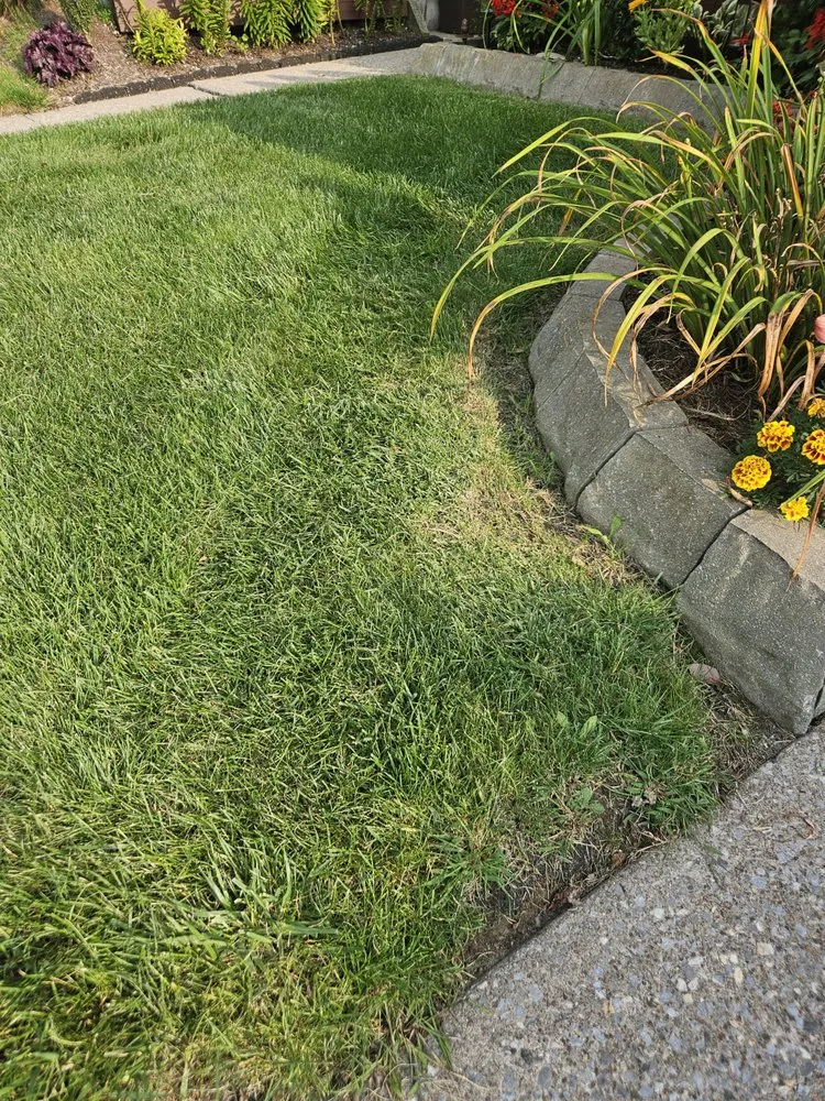 Affordable lawn care service with custom design in Rochester, NY by Trimline Landscape Management