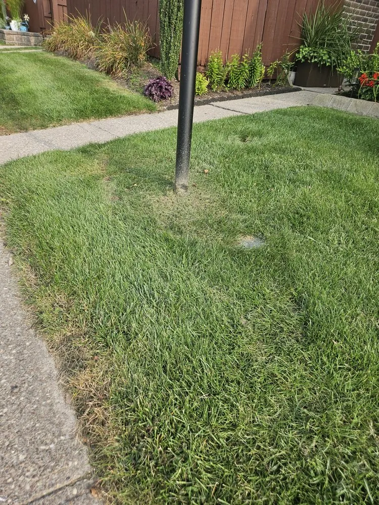 Top-rated yard maintenance experts serving Rochester, NY - Trimline Landscape Management