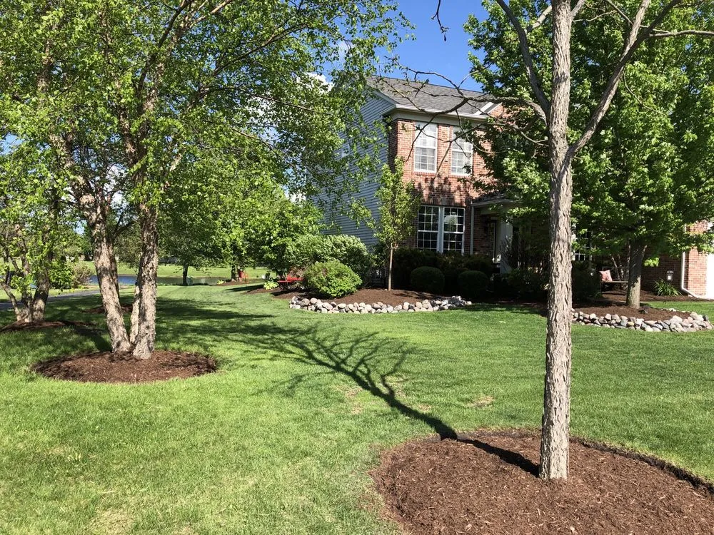 Expert yard cleanup service in Algonquin, IL by Trimline Lawn Care Services