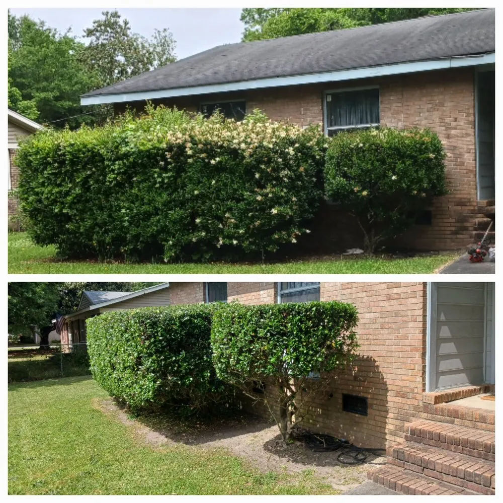 Local lawn care service in Columbia, SC by Trimline Lawn Services