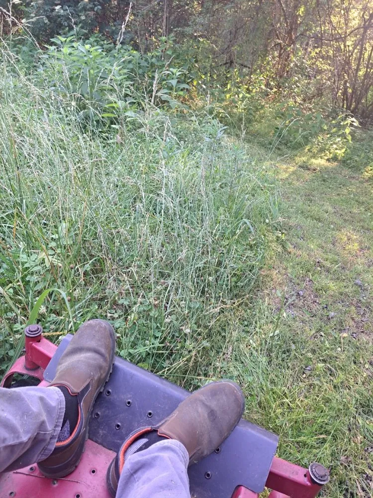 Custom outdoor landscaping experts serving Rome, GA - Trimmed Lawn Care