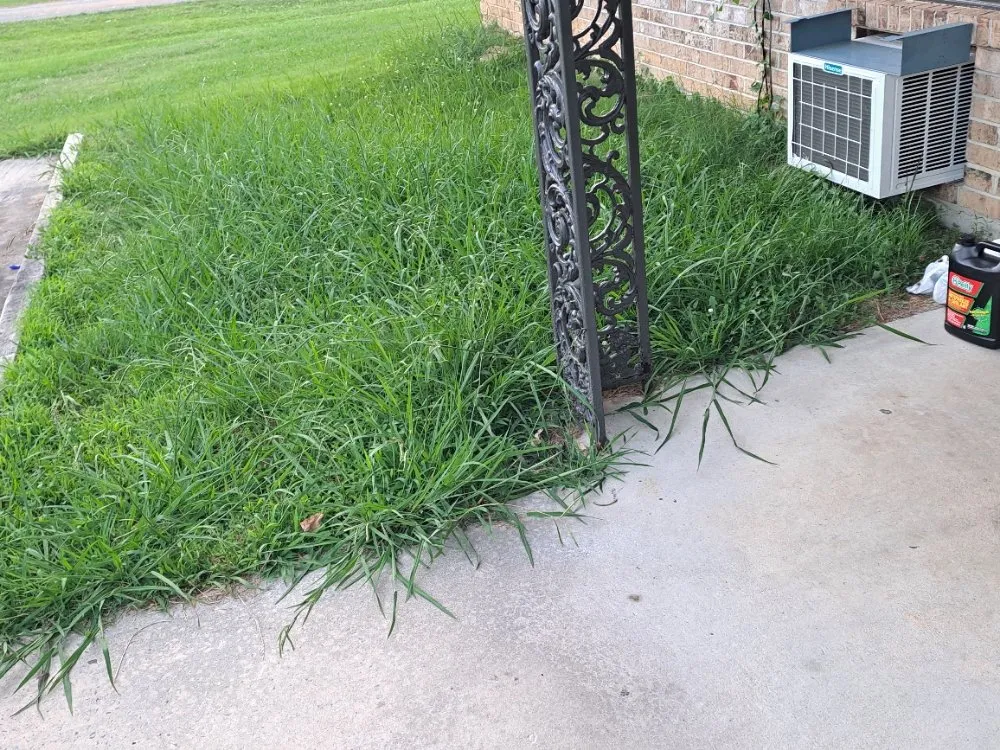 Custom lawn care service experts serving Rome, GA - Trimmed Lawn Care