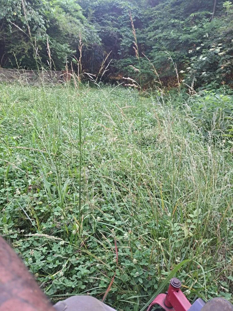 Expert landscape design in Rome, GA by Trimmed Lawn Care