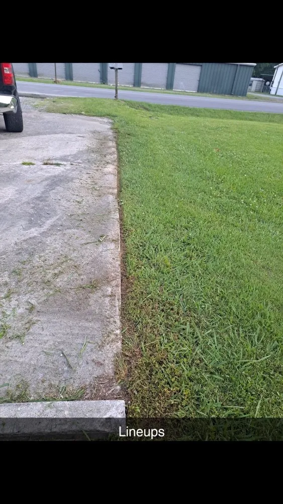 Reliable landscaping services in Rome, GA - Trimmed Lawn Care