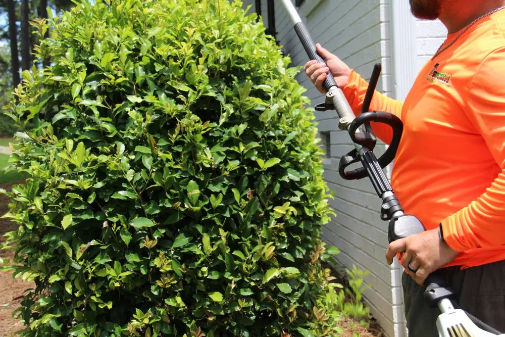 Reliable outdoor landscaping for beautiful yards across Augusta, GA - Trimmendous Lawn Care