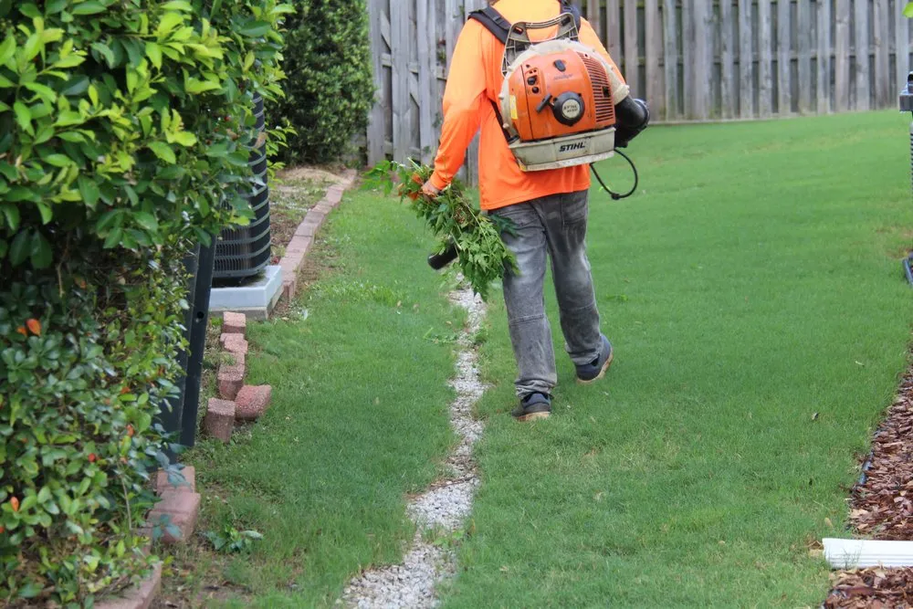 Reliable yard cleanup service experts serving Augusta, GA - Trimmendous Lawn Care