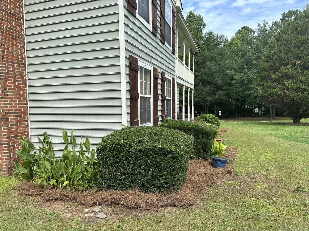 Local yard maintenance in Augusta, GA by Trimmendous Lawn Care
