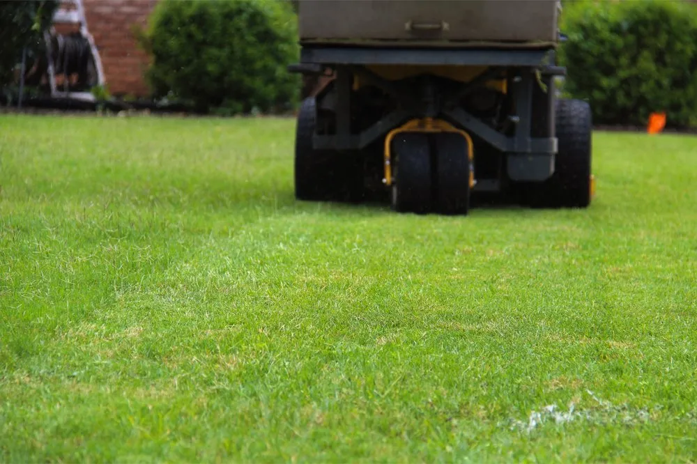 Top-rated landscape installation experts serving Augusta, GA - Trimmendous Lawn Care